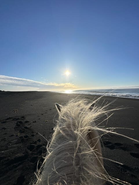 southern Iceland: Black beach riding tour - Practical Details and What to Expect