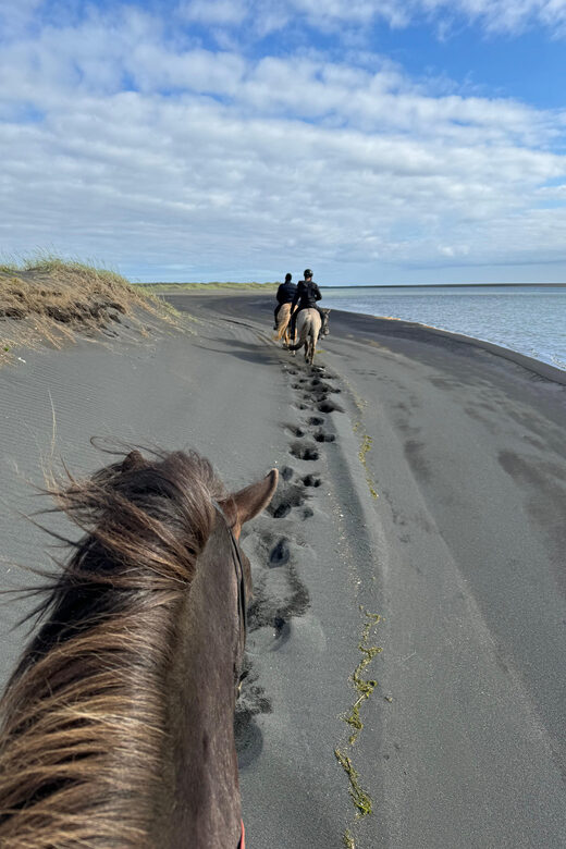 southern Iceland: Black beach riding tour - Final Thoughts
