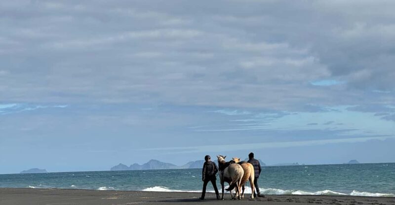 southern Iceland: Black beach riding tour - FAQ