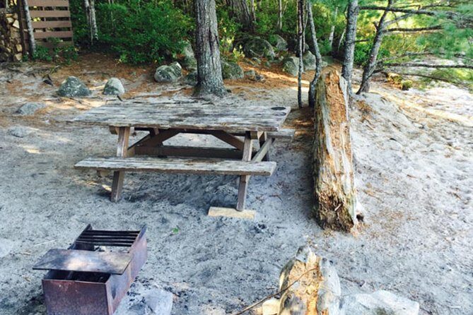 Southern Lakes Canoe Trip - 4 Day - What to Expect When Booking