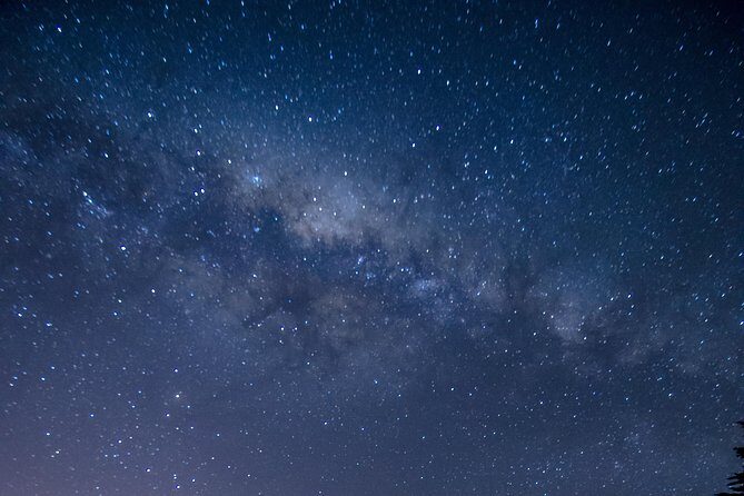 Southern Skies Stargazing Tour in Dunedin - What to Expect from the Tour