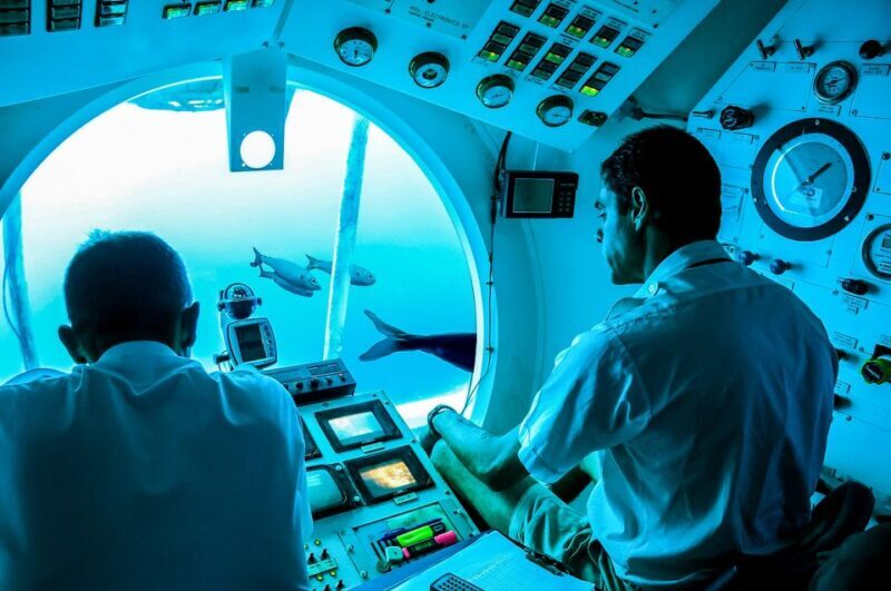 Southern Tenerife: 50-Minute Submarine Dive - An In-Depth Look at the Submarine Tour