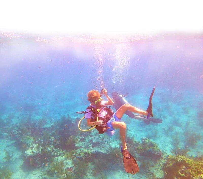 Southpoint Divers: Afternoon Reef Dive Trip - What Reviewers Say