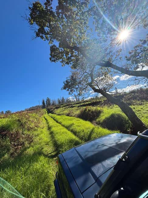 Southwest Madeira: Villages, Cliffs & Off-Road Local Way - The Itinerary: A Closer Look at What You’ll See and Do