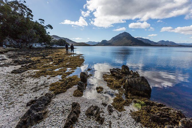 Southwest Tasmania Wilderness Experience: Fly Cruise and Walk Including Lunch - Practical Details and Tips