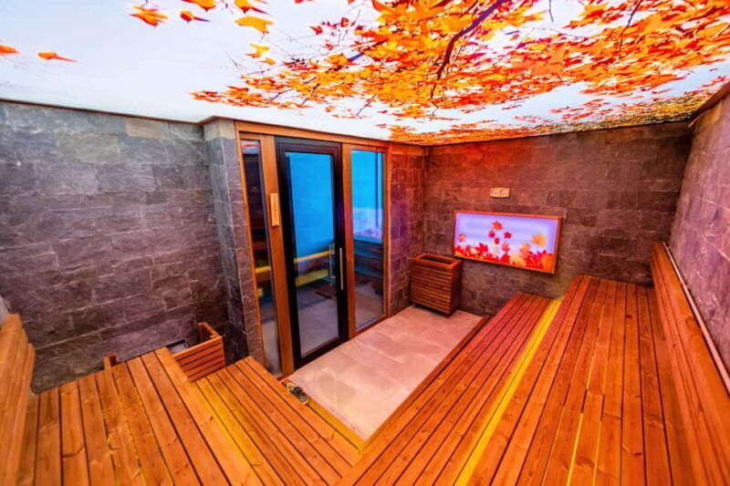 Spa day pass at Pulse Therme Banya - Who Is This Best Suited For?