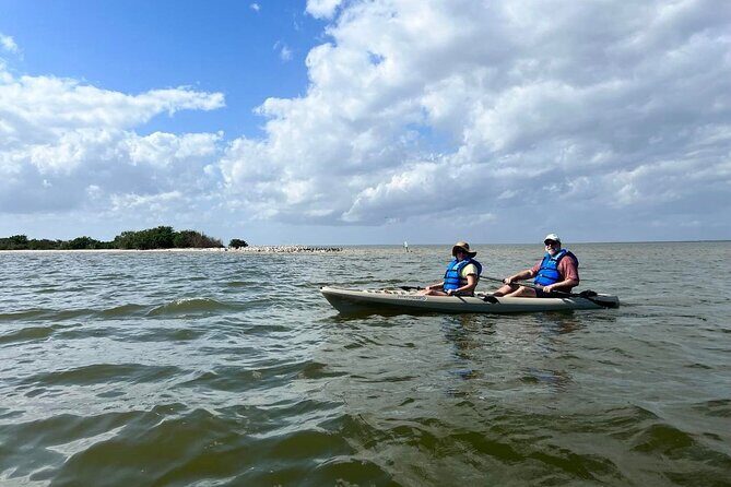 Space Coast Manatee & Coastal Wildlife Kayak Tour - Key Points