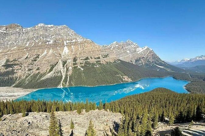 Spanish Private Tour to Columbia Icefields from Calgary - Who Is This Tour Best For?