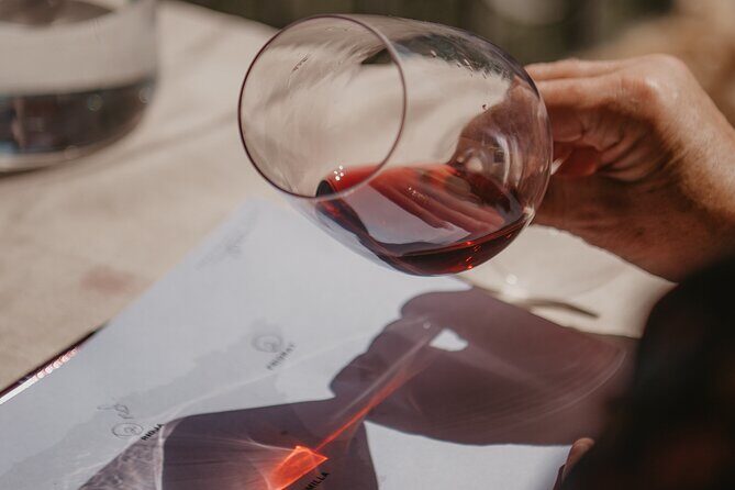 Spanish Wine Tasting - Who Will Love This Tour?