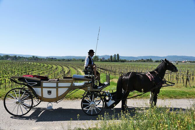 Sparkling carriage ride through Krems and the Wachau vineyards - Key Points