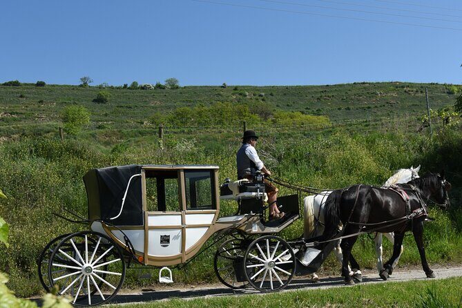 Sparkling carriage ride through Krems and the Wachau vineyards - Exploring the Experience: What You Can Expect