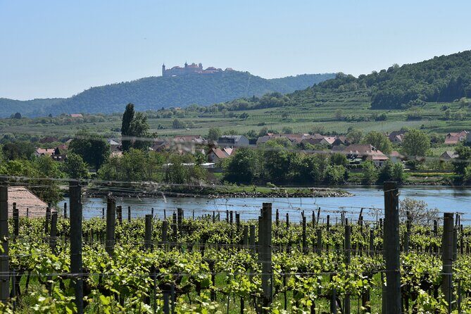Sparkling carriage ride through Krems and the Wachau vineyards - What the Reviews Say: Authentic Perspectives