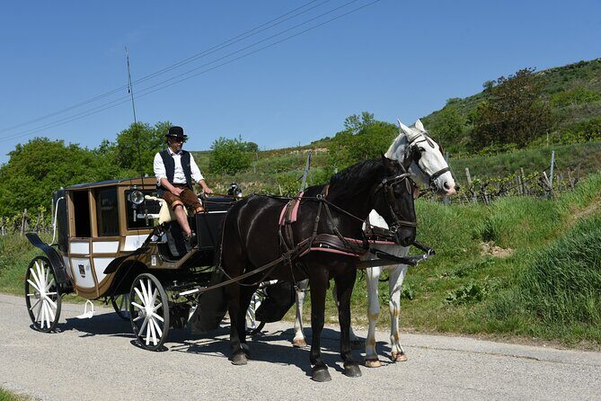 Sparkling carriage ride through Krems and the Wachau vineyards - Final Thoughts