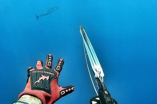 Spearfishing Playa del Carmen or Tulum - The Sum Up