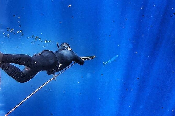 Spearfishing Playa del Carmen or Tulum - FAQ