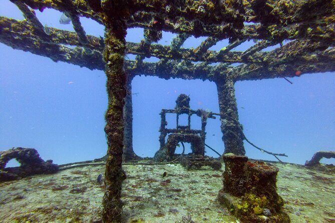 SPECIAL!! 2 Tank Wreck & Drift Reef dives - The Experience and Atmosphere