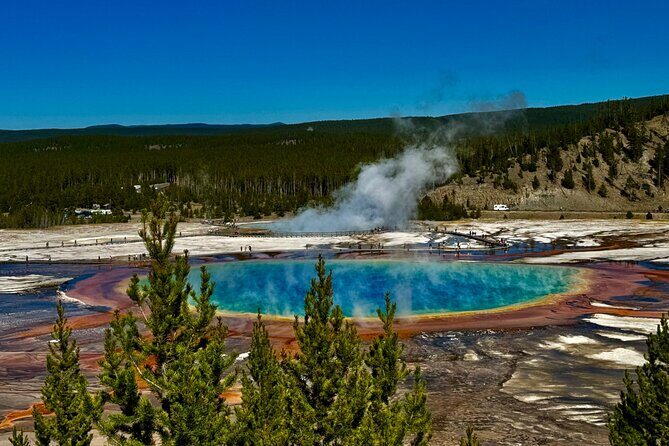 *Special* Seniors Yellowstone Lower Loop From West Yellowstone - What Travelers Say