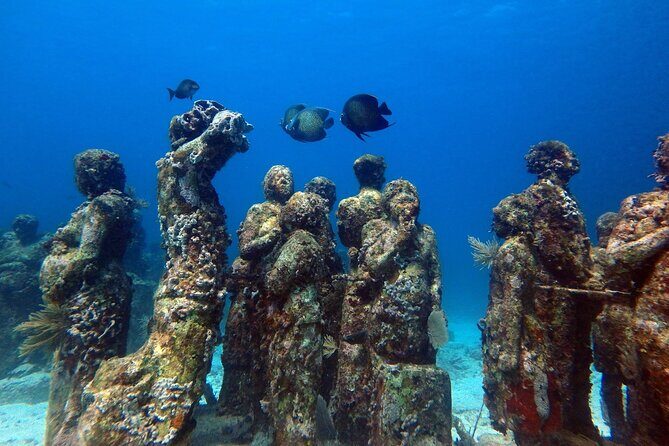 SPECIAL! Snorkel at MUSA - The Underwater Museum Reservation - FAQ