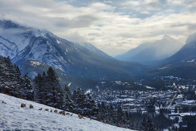 Spectacular Banff Day - Gondola Included - An In-Depth Look at the Experience