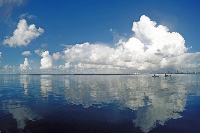 Speed Boat & Snorkel Tour with transportation ( only Cancun zone area) - Final Thoughts