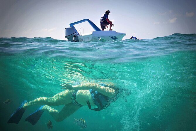 Speed Boat & Snorkel Tour with transportation ( only Cancun zone area) - FAQ