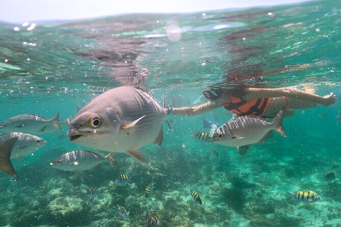 Speed Boat Snorkeling in Cancun with Mayan Ceremony and Tasting - How the Experience Feels in Practice
