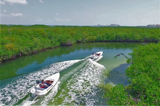 Speed Boat Tour for 2 - A Journey across Lagoon and Mangroves - Who Should Consider This Tour?