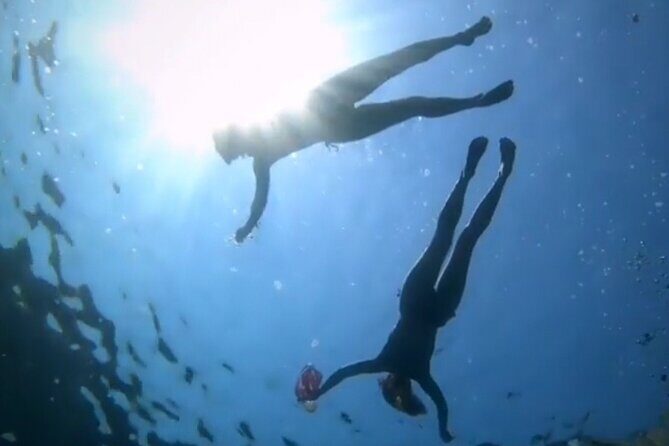 Speed Boat Tour to Elaphiti Caves and Sandy Beach from Dubrovnik - FAQ