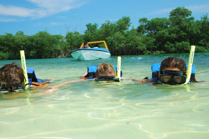 Speed Boats through the Cancun Lagoon (Jungle Tour Couples) - Authentic Feedback and Realistic Expectations