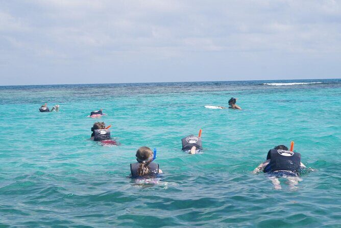 Speedboat Adventure and Snorkeling with transportation in Cancun - The Itinerary in Detail