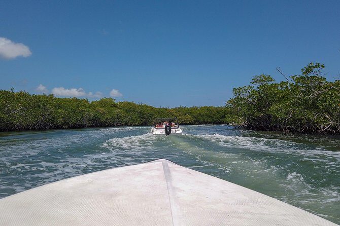 Speedboat and snorkel tour: Single Passenger Boat - The Experience in Detail