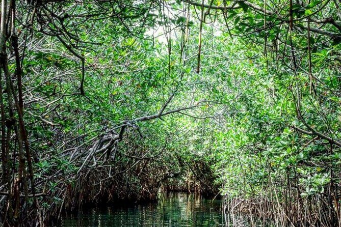 Speedboat and Snorkeling Adventure in Cancun - What to Expect from This Cancun Water Adventure