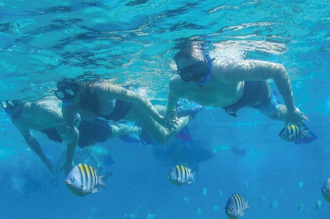 Speedboat Excursion: Thrilling Drive & Snorkel in Cancun Lagoon! - Who Should Consider This Tour?