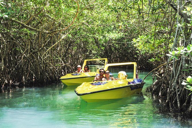 Speedboat jungle tour and snorkel - What to Expect from the Speedboat Jungle Tour and Snorkel