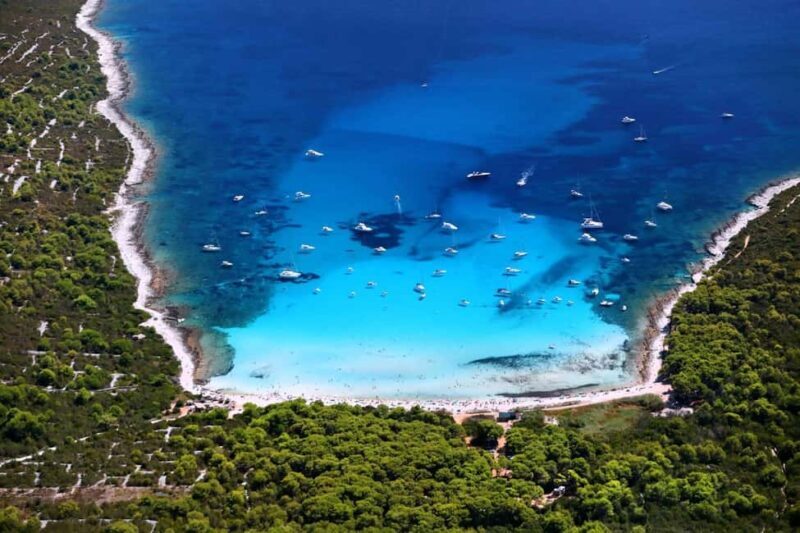 Speedboat tours Sakarun,Sunkenshipp,Veli Rat,Bozava;Muline.. - Practical Details and What You Should Know