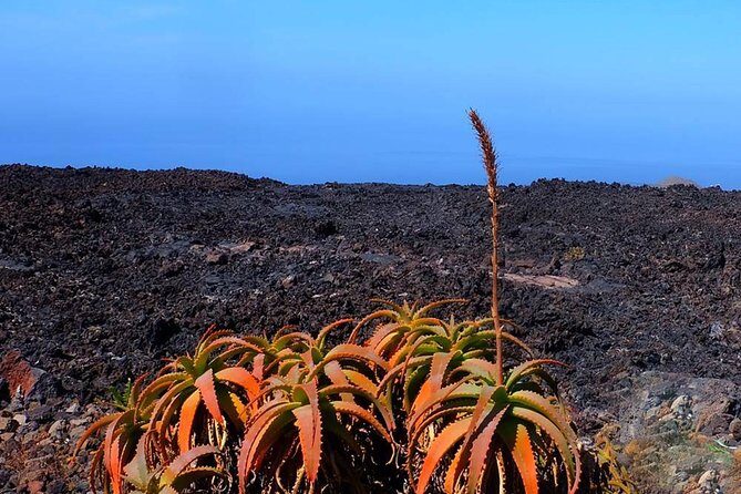Speleology Tour in Cueva de Las Palomas in La Palma - What is the Cueva de Las Palomas Tour?