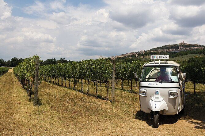 Spello wine tour by tuk tuk in Italian - Who is This Tour Best For?
