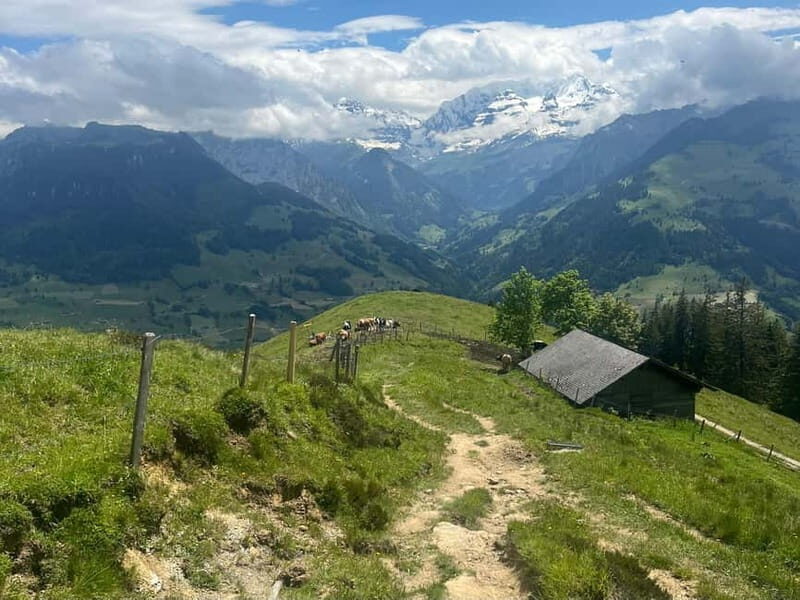 Spiez: Summit Mt. Niesen with a Swiss Triathlete - What’s Included and What You Should Bring
