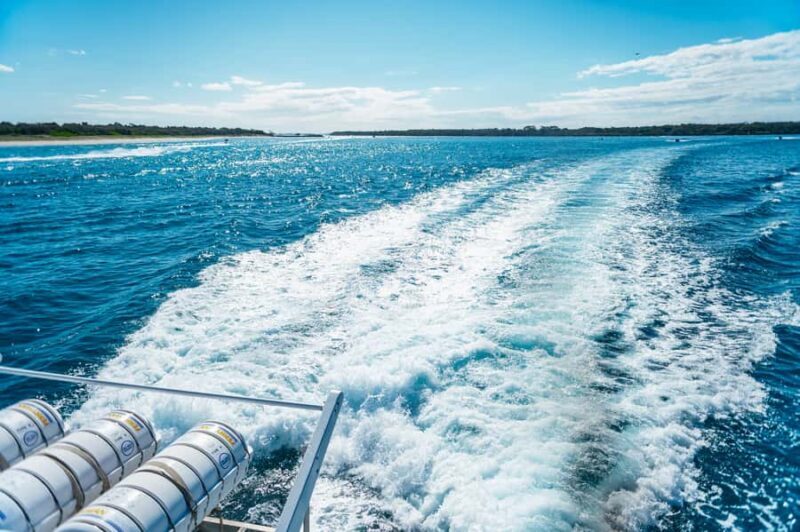 Spirit of Gold Coast 2.5-Hour Whale Watching Tour - A Day That’s Worth Your Time