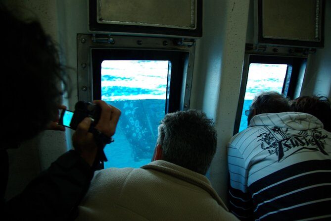 Spirit of Hervey Bay Whale Watching Cruise - The Practicalities: Price, Duration, and Booking