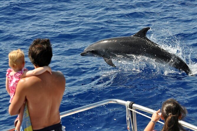 Spirit of the Sea: Cetacean sighting in Gran Canaria - The Success Rate and Variability
