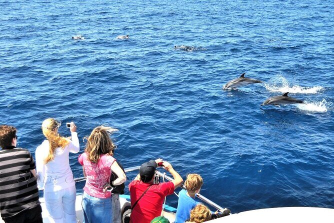 Spirit of the Sea: Cetacean sighting in Gran Canaria - The Experience from the Reviews