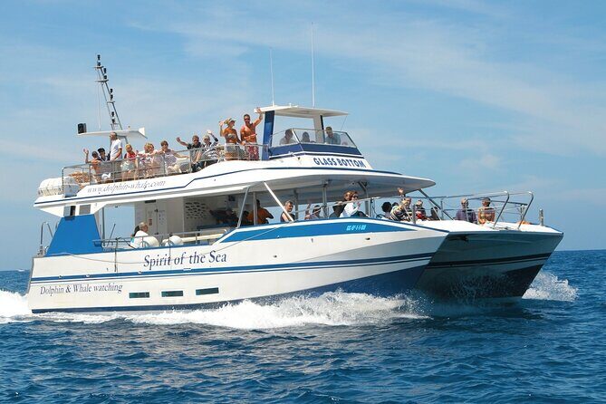 Spirit of the Sea: Cetacean sighting in Gran Canaria - FAQ