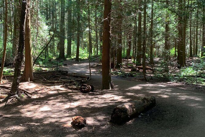 Spirit Of Vancouver Bike or Ebike Tour - Final Thoughts: Is This Tour Right for You?