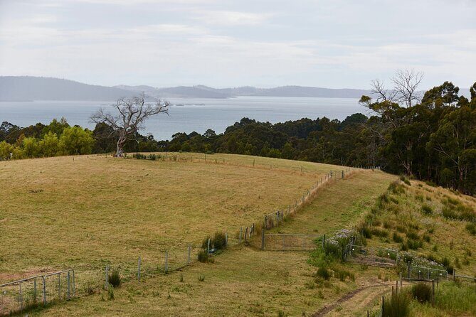 Spirited Alchemist Experience - The Craft of Flavour Creation