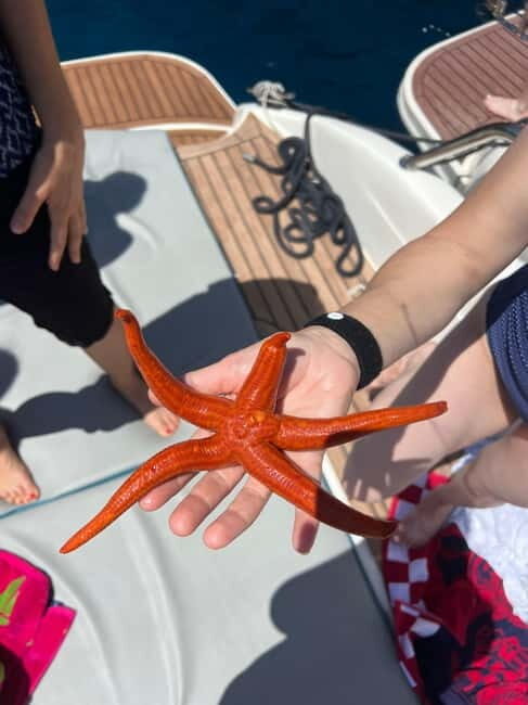 Split: 5 Islands Full-Day Tour to Blue Cave, Vis & Hvar - What to Expect from This Tour