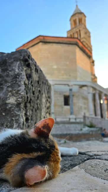 Split and Diocletian's Palace walking tour with a local guid - Key Points