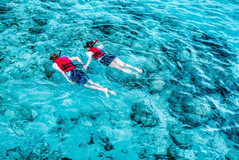 Split: Blue Lagoon, 3 Islands, and Wine Tasting Private Tour - The Practical Side: Transportation, Timing, and Costs