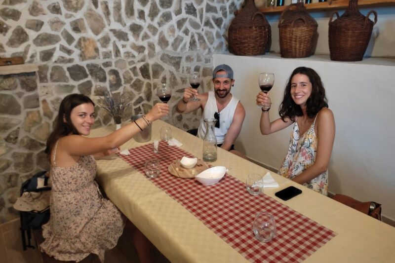 Split: Krka National Park Full-Day Tour with Wine Tasting - How the Day Flows