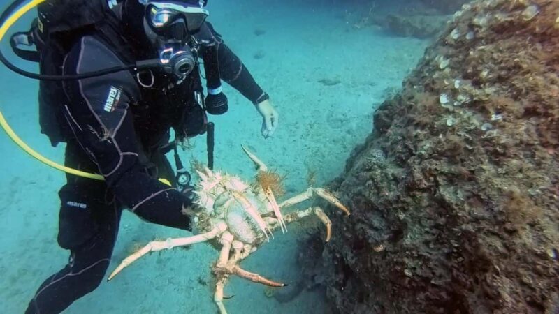 Split-Makarska-Brela Try SCUBA Dive - Final Thoughts